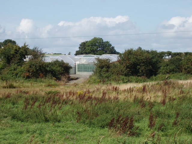 Greenhouse iliyofunikwa kwa filamu ya plastiki