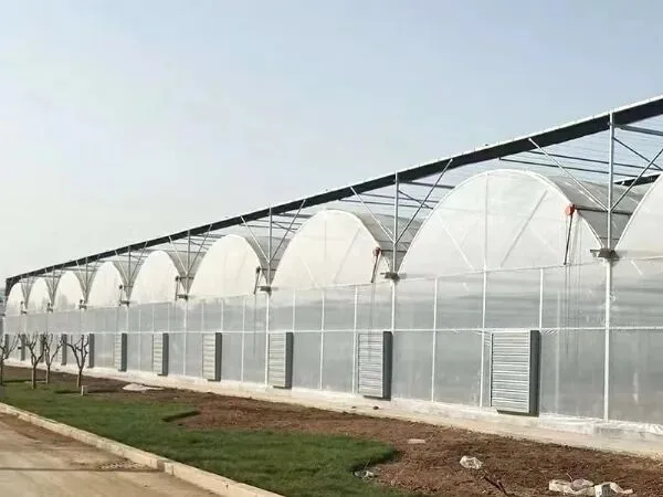 Greenhouse ya Filamu ni Nini