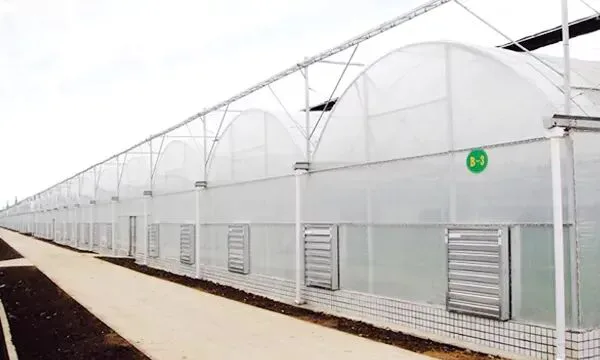 Faida Kuu za Filamu ya Greenhouse ya PO