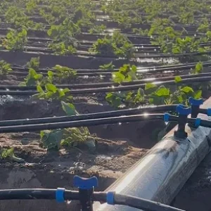 Drip Irrigation Tape