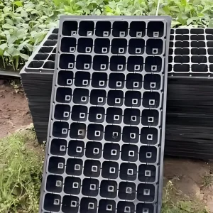 Seedling Tray